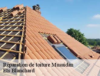 Réparation de toiture  mussidan-24400 Ets Blanchard 