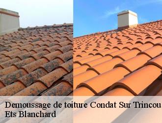 Demoussage de toiture  condat-sur-trincou-24530 Ets Blanchard 