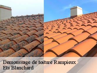 Demoussage de toiture  rampieux-24440 Ets Blanchard 