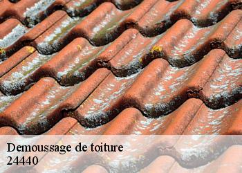 Demoussage de toiture  24440